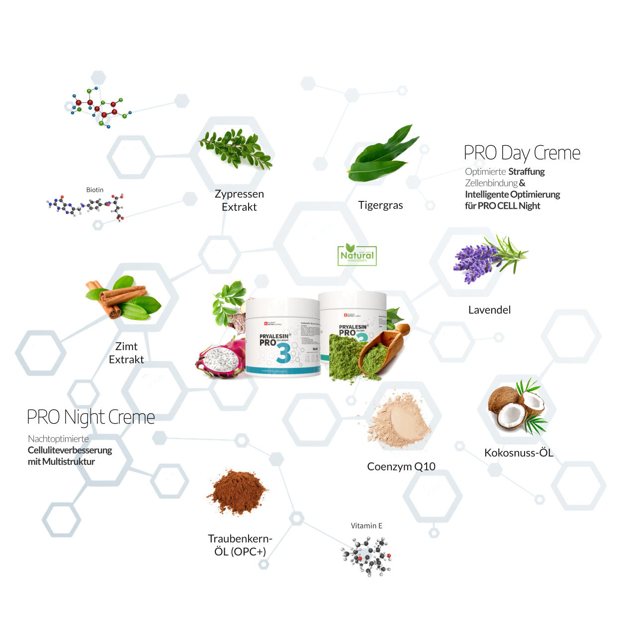 Pryalesin Tag und Nacht Creme Set 2x250ml (XXL Tiegel)